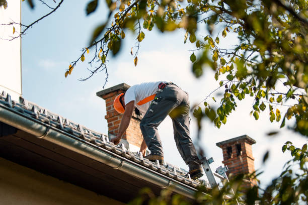 Trusted Lanark, IL Roofing Contractor Experts