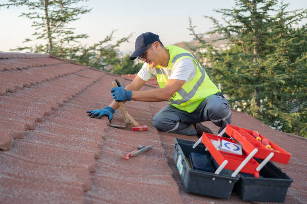 Best Best Roofing Contractors  in Lanark, IL